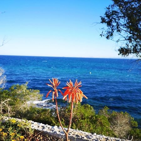 Villa La Zenia 25 بلايا فلامنكا المظهر الخارجي الصورة